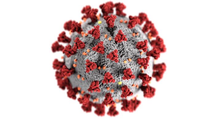Illustration scientifique du coronavirus SARS-CoV-2